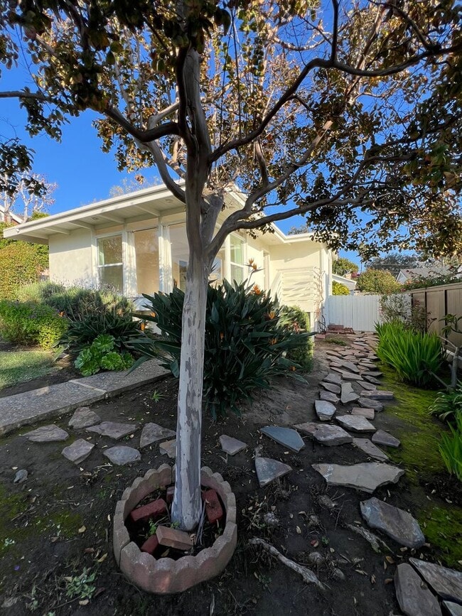 Building Photo - Laguna Beach Cottage Home 2 Bed 1 Bath