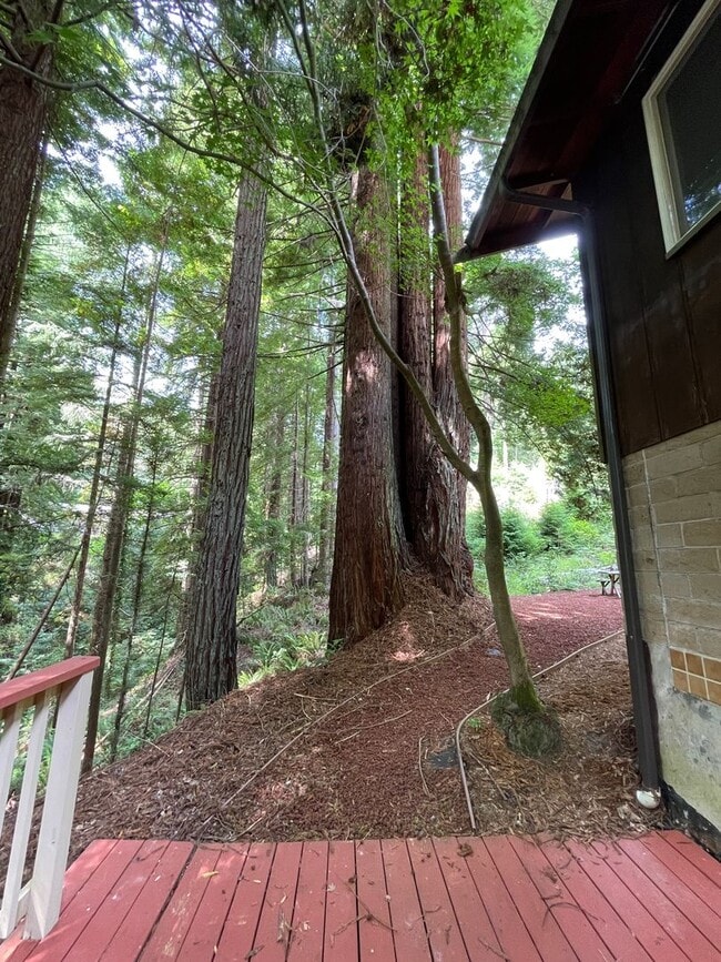Building Photo - 4 bed, 3 bath split-level home in a private, forested setting (Bayside)