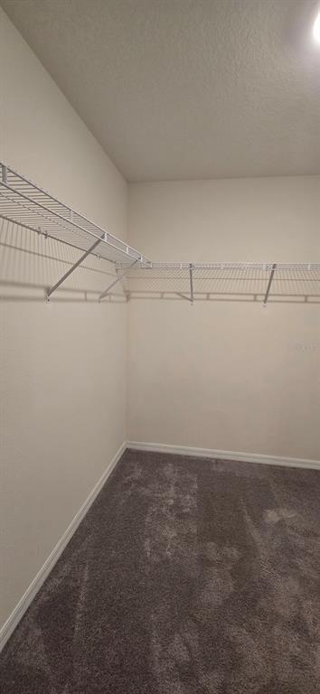 Building Photo - 8557 Triumph Cir