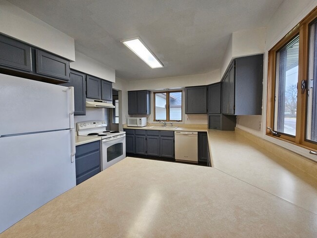 Building Photo - Beautiful Four Bedroom House with Dogs Considered *Move-in Bonus: First Month Free*