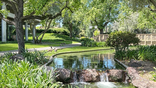 Building Photo - Plenty of Light in an Urban Oasis