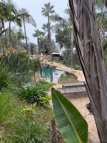 Building Photo - 24690 W Saddle Peak Rd