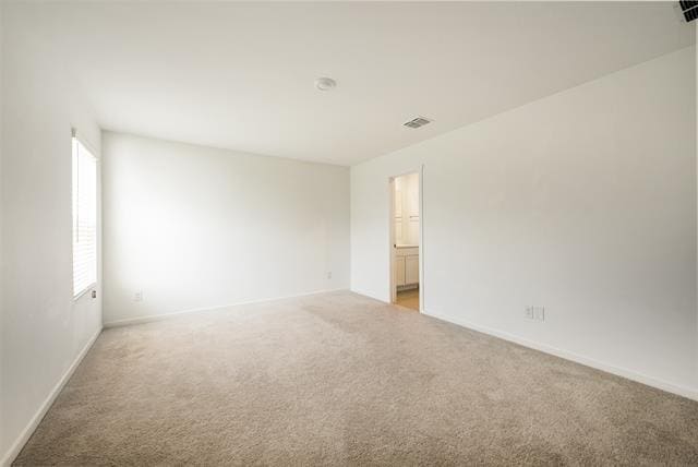 Building Photo - 4013 Drifters Bnd Dr