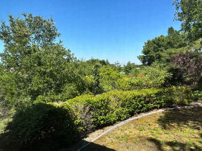 Building Photo - Fabulous LAH home, close town location, sp...