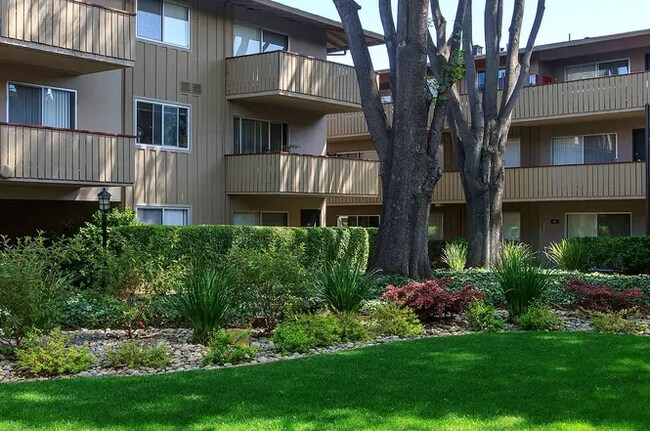 Building Photo - 3375 Alma St