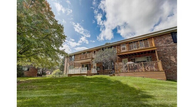 Backyard - 157 Linden Ln