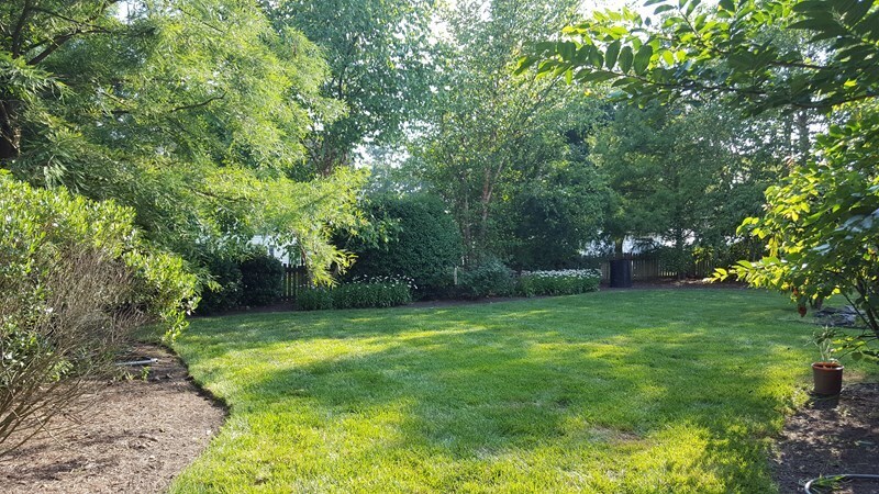 Backyard - 10913 Brunson Way