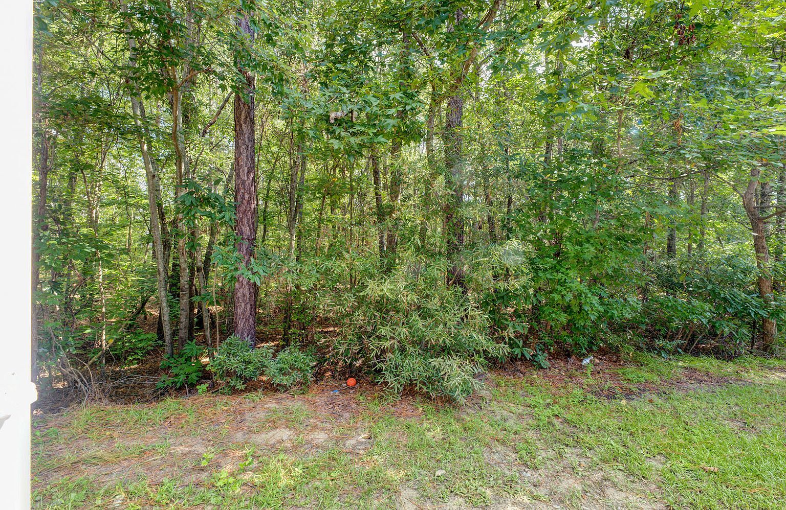 Building Photo - 162 Buchanan Cir