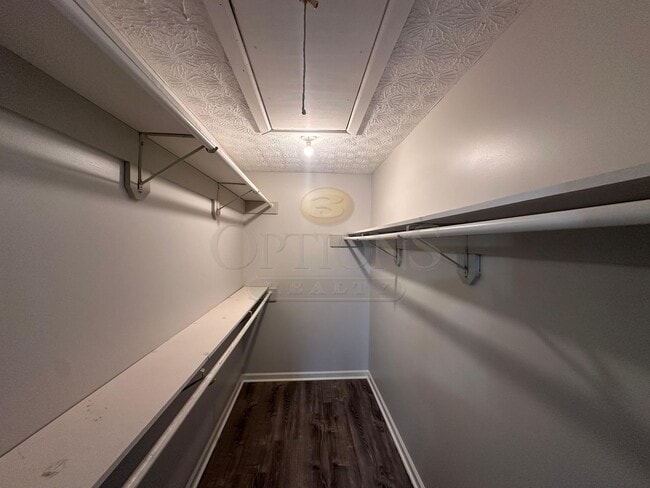 Building Photo - 4BR/3BA on Large Private Wooded Lot- Woodstock