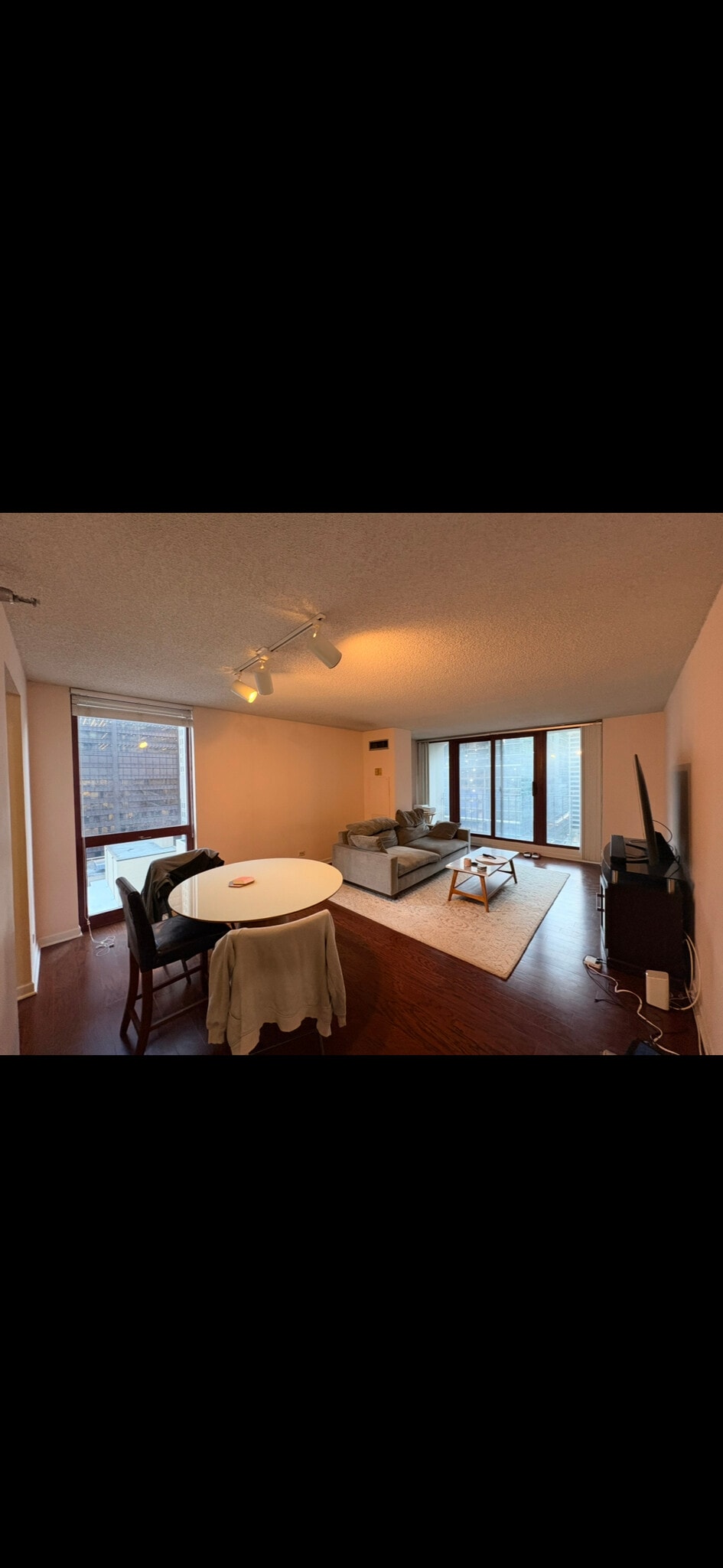Living and Dining area - 200 Dearborn N St