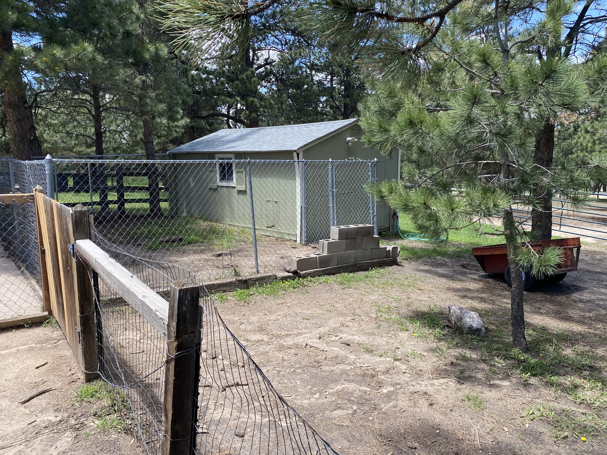 Chicken coup - 15175 E Coachman Dr