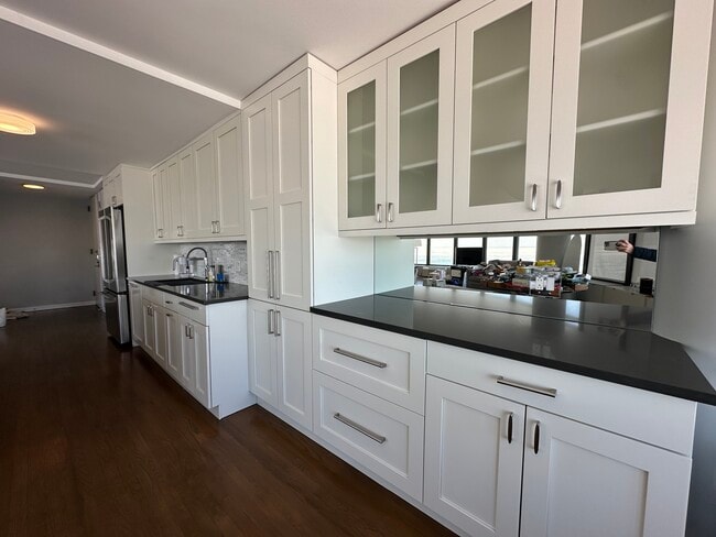 Building Photo - 505 N Lake Shore Dr