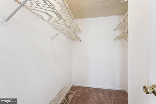 Building Photo - 20412 Sunbright Ln