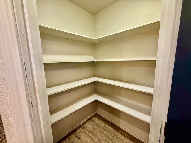 Building Photo - 909 Manchester Ct