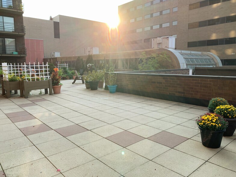 Private patio opens to large community patio with beautiful plantings, herb garden, and gas grill - 26 10th St W