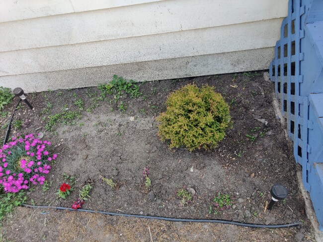 Building Photo - 90 Oak St