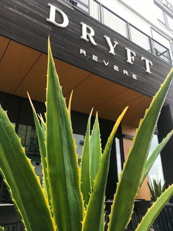 Building Photo - 376 Ocean Ave