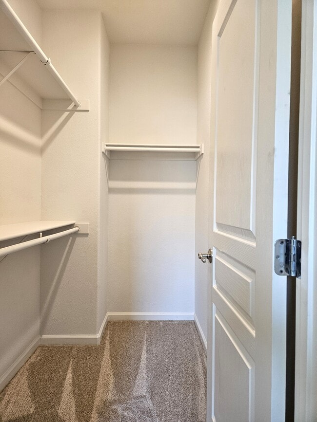 Building Photo - 143 W Saltillo Ln