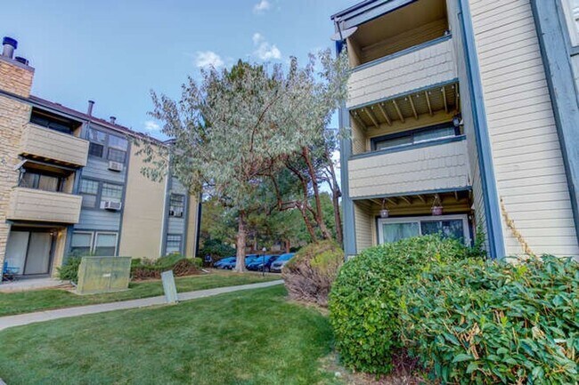 Building Photo - 1 Bedroom 1 Bathroom Beautifully Updated Washer/Dryer In Unit