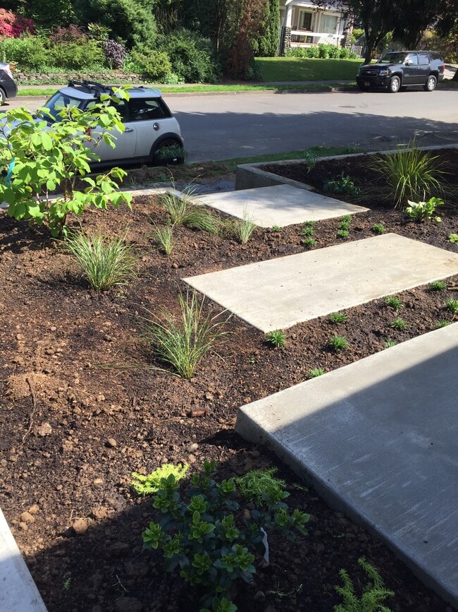 Landscaping - 6205 NE 30th Ave