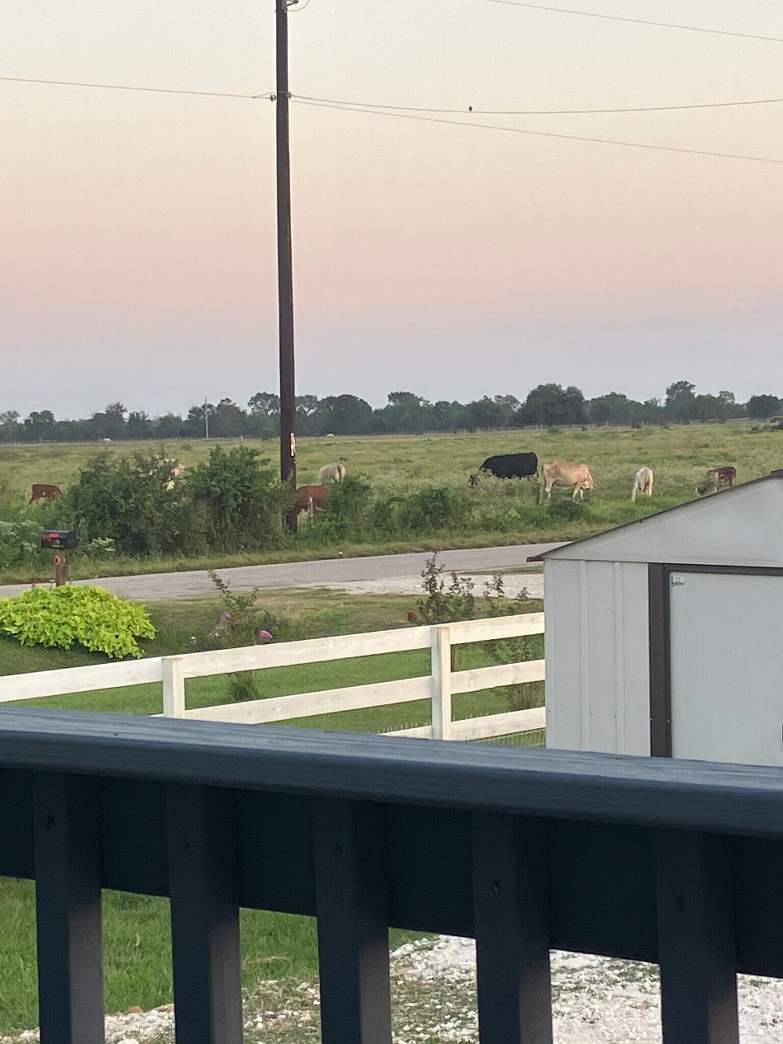 Building Photo - 1119 Grubbs Rd