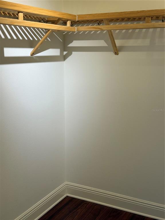 Building Photo - 800 N Tamiami Trl