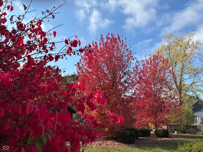 Building Photo - 14112 Adios Pass