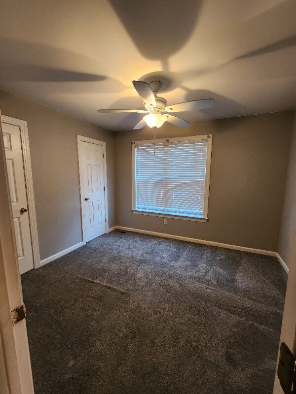 Building Photo - 5 Box Turtle Ct