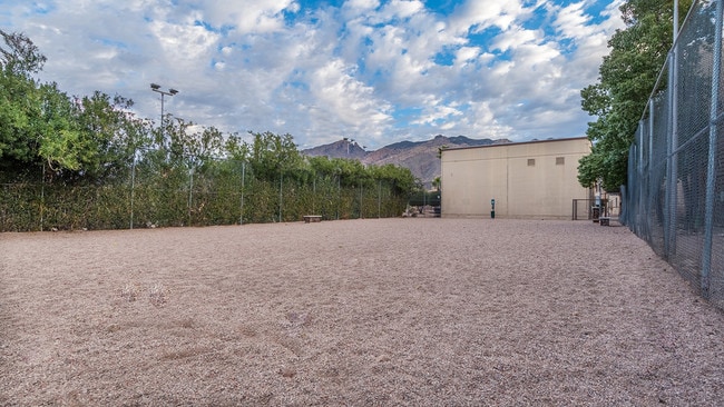 Building Photo - Foothills