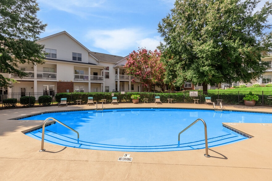 Primary Photo - Camellia