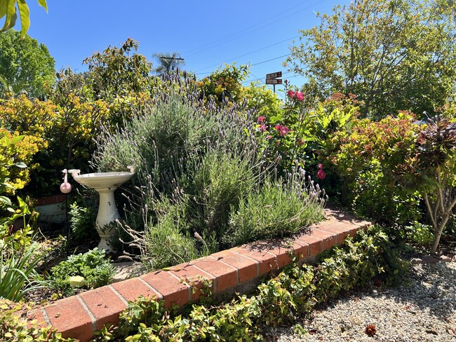 Building Photo - 2909 Ventura Dr