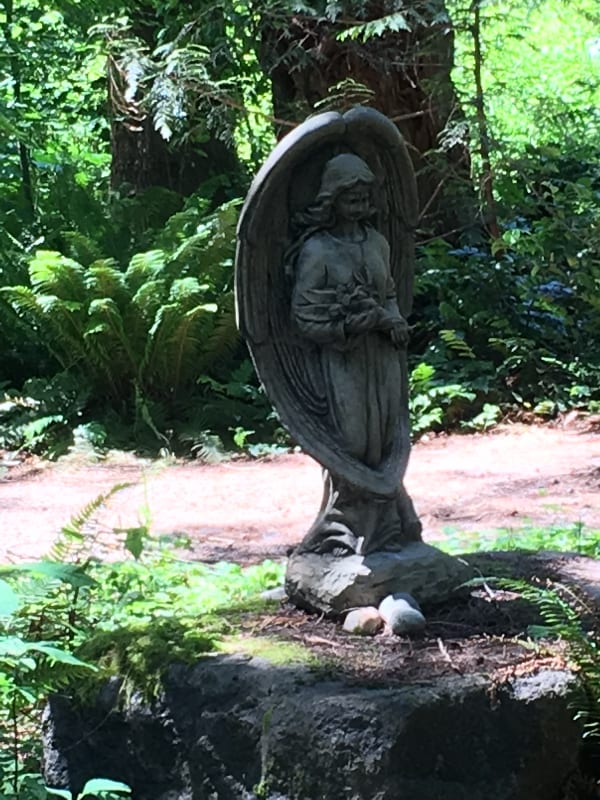 Building Photo - 51603 Skyco Dr