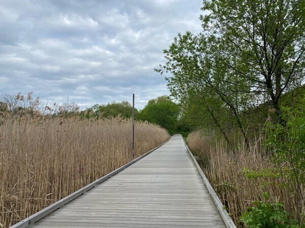 Building Photo - 7 Arizona Terrace