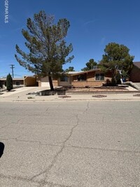 Building Photo - 10449 Chinaberry Dr