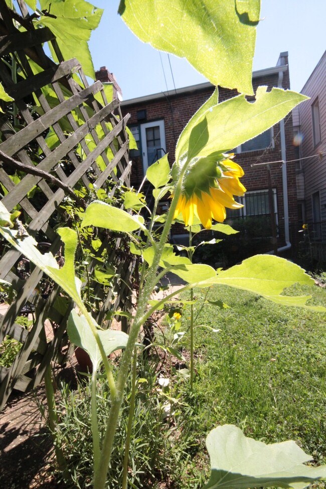 Building Photo - 218 10th St NE