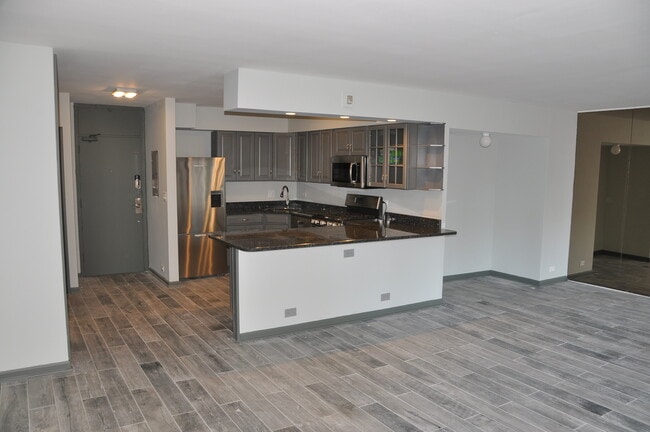 Building Photo - 1000 N Lake Shore Dr