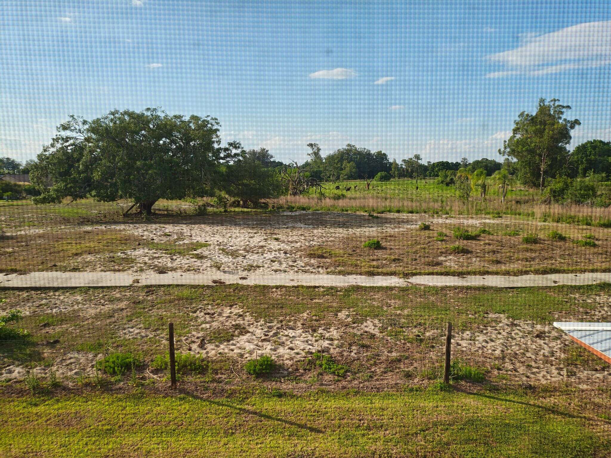 Backyard View - 116 Fairway Ct