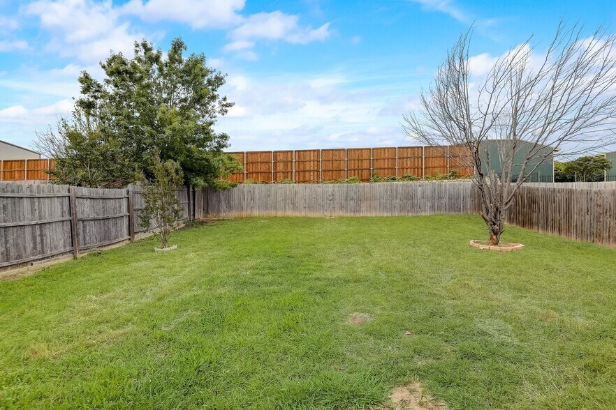Backyard - 1966 Bishop Hl