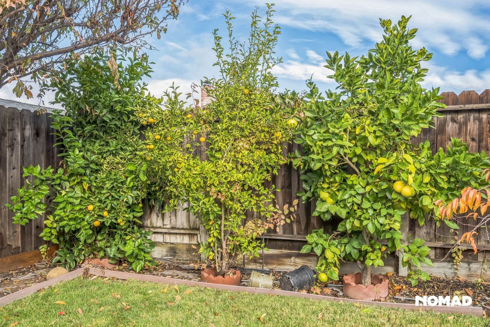 Building Photo - 5450 Scenic Ave