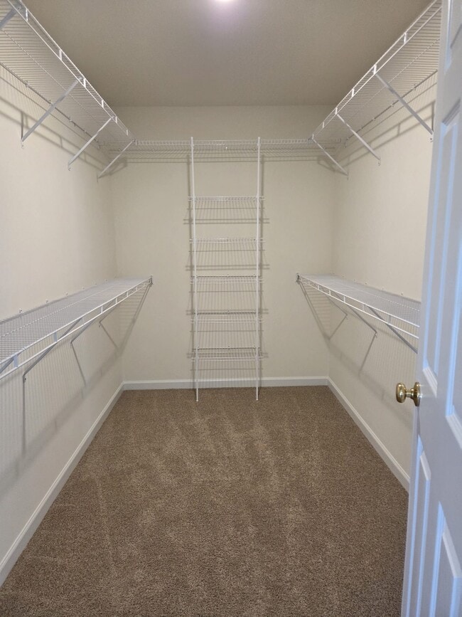 Building Photo - 103 Windrow Drive