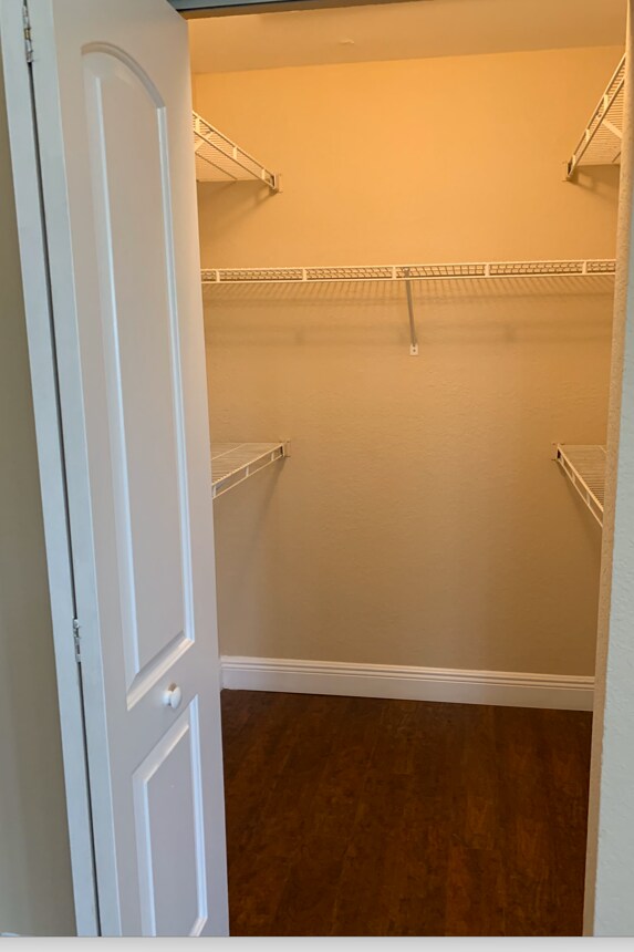 Building Photo - 2850 N Oakland Forest Dr