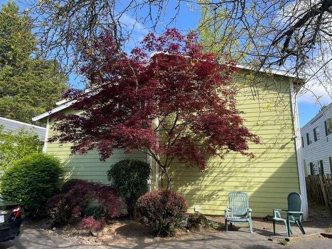 Building Photo - Upper 1bed, off street parking, onsite coi...