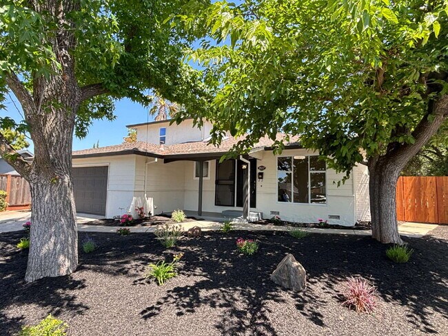 Building Photo - "Completely remodeled 4-Bed, 3-Bath Sanctu...