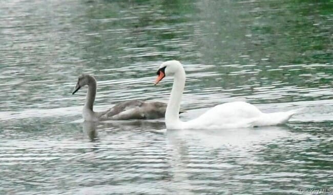Building Photo - 42 Towd Point Rd
