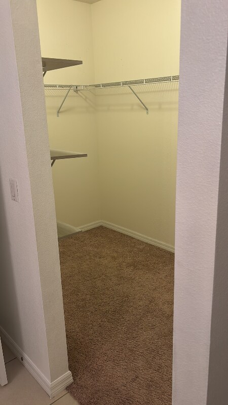 Building Photo - 136 Tray Cir