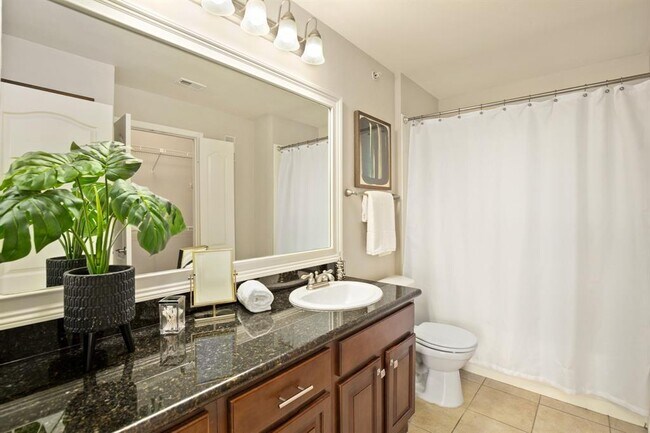 Building Photo - 6000 Shepherd Mountain Cove