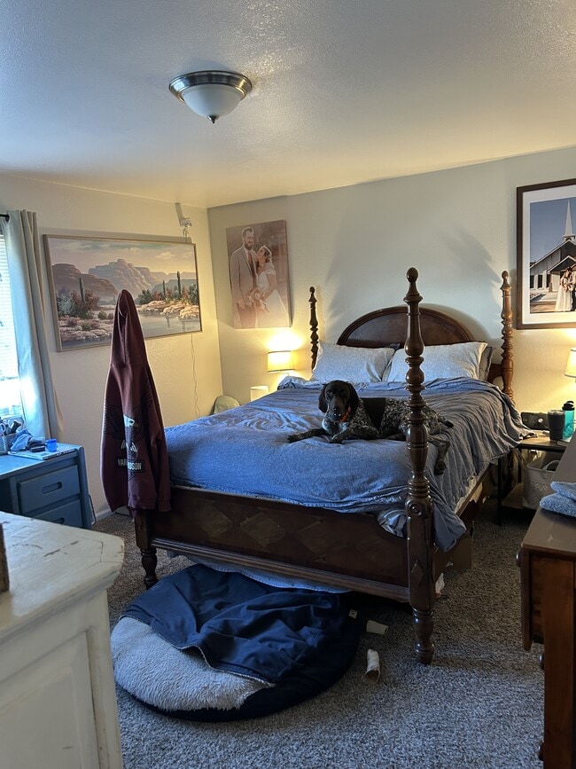 Building Photo - 678 Eagle Dr