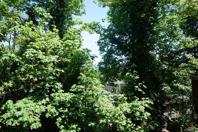 Building Photo - Spectacular SW Liar Hill 3 bedroom Townhouse