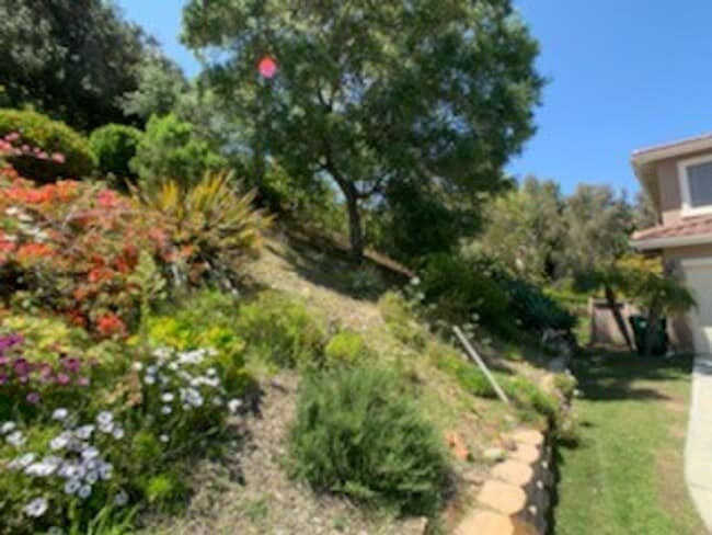 Building Photo - Amazing Carlsbad Home with extra room down...