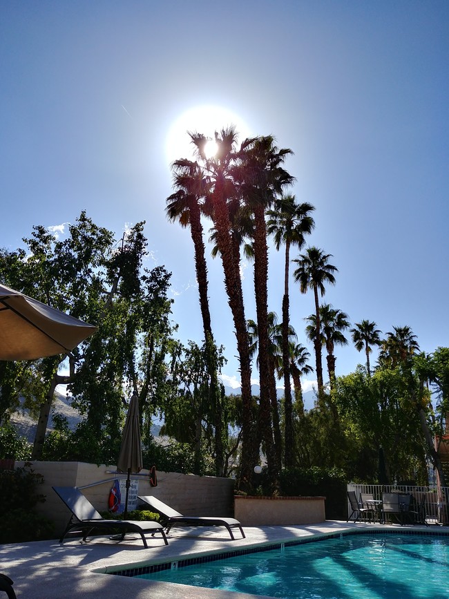 Pool View - 2601 S Broadmoor Dr